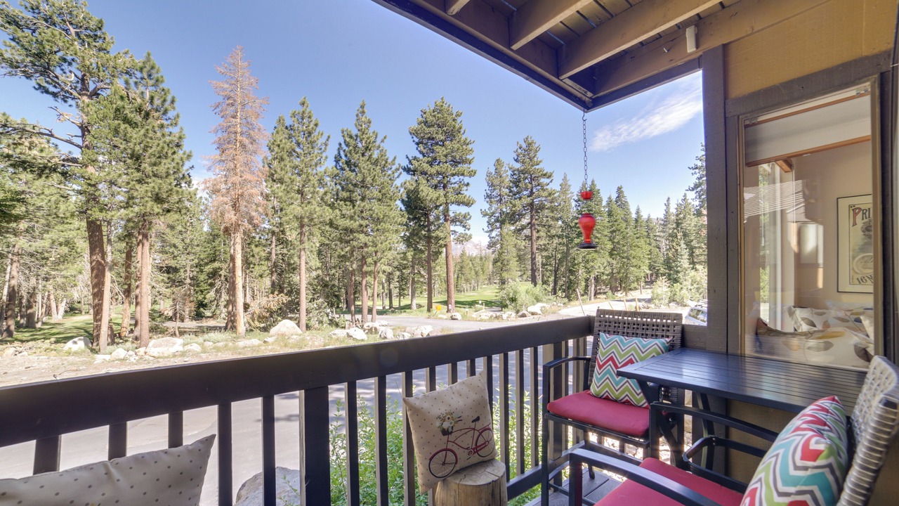 Photo of Patio Balcony in Majestic Pines