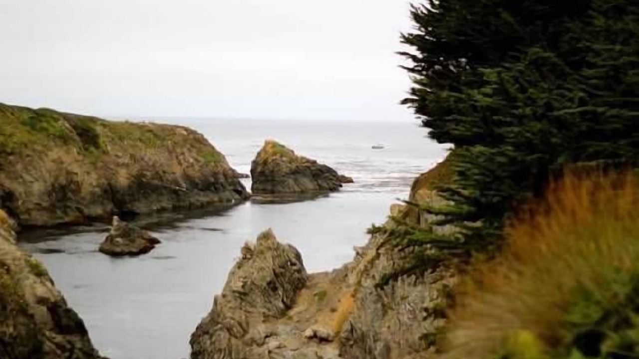 Photo of Others in Mendocino