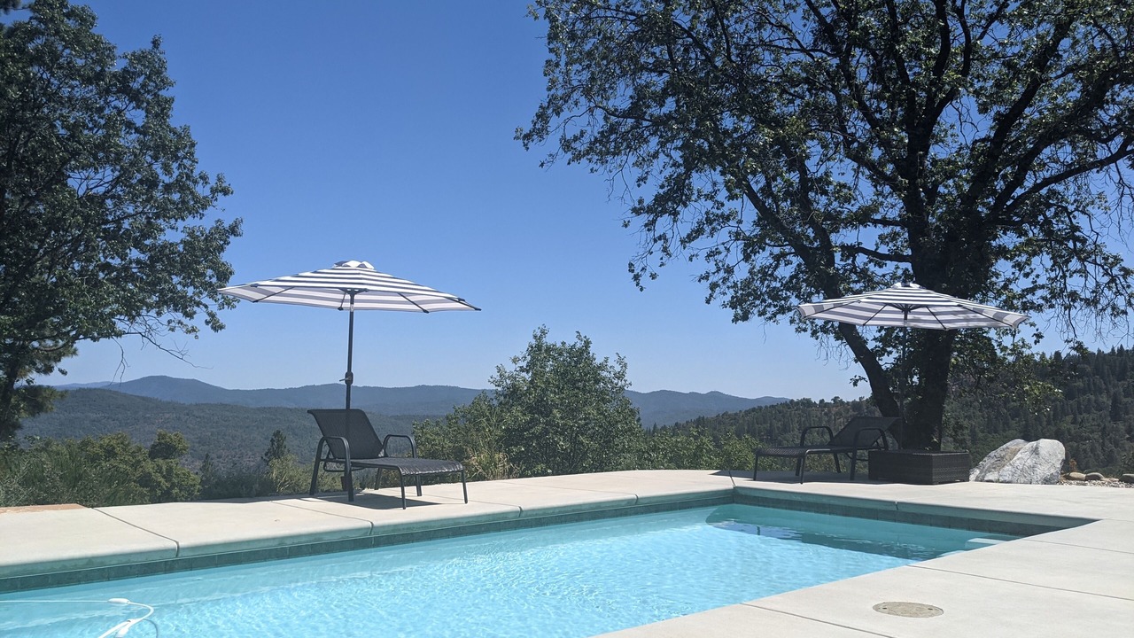 Photo of Outdoor in Forest Meadows