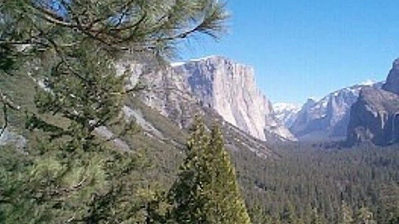 Photo of Others in Yosemite National Park