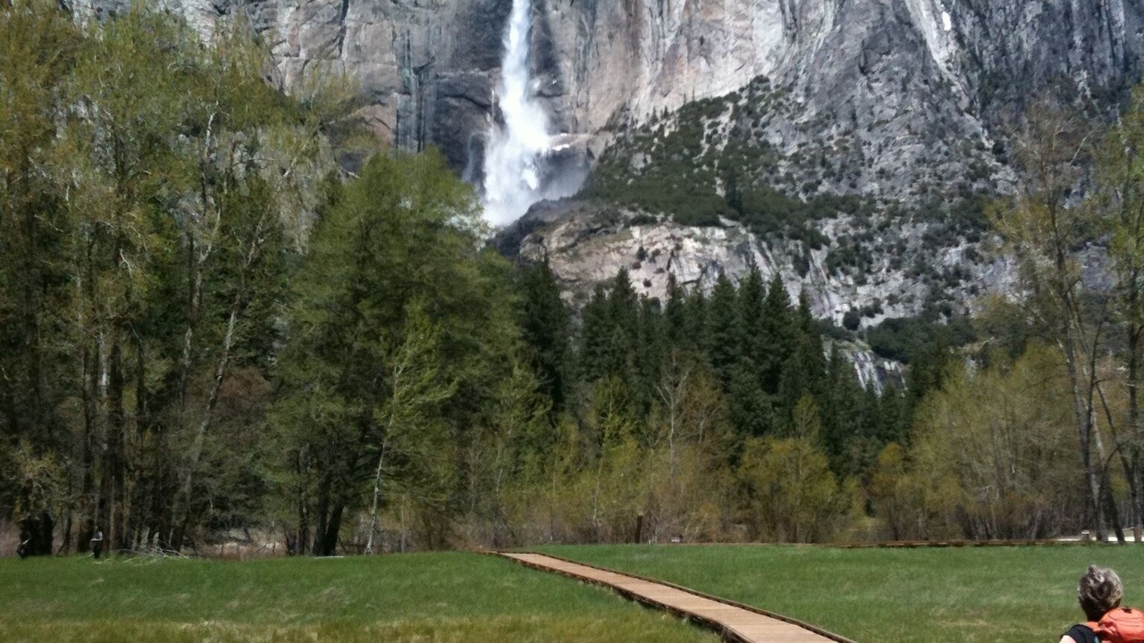 Photo of Others in Yosemite National Park