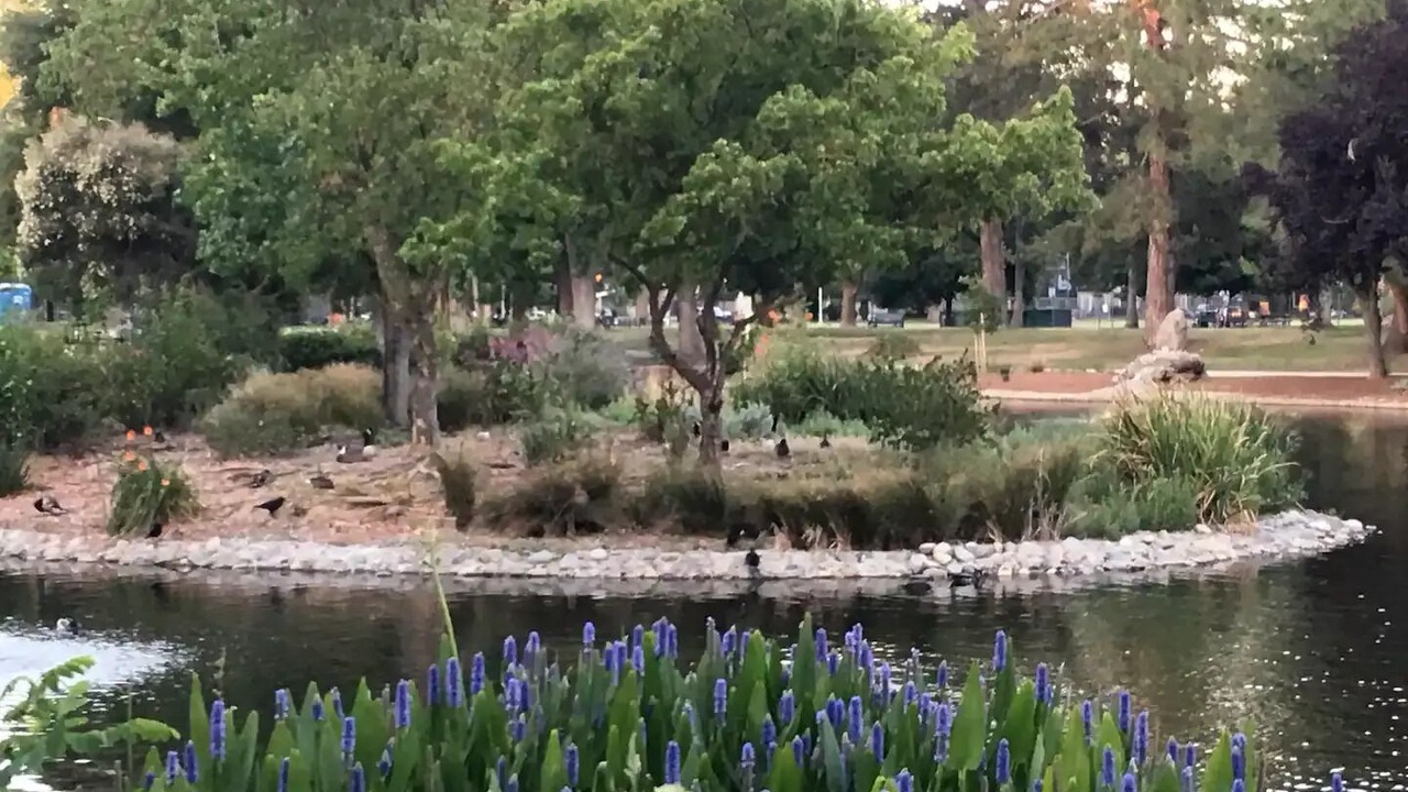 Photo of Others in Central Sacramento