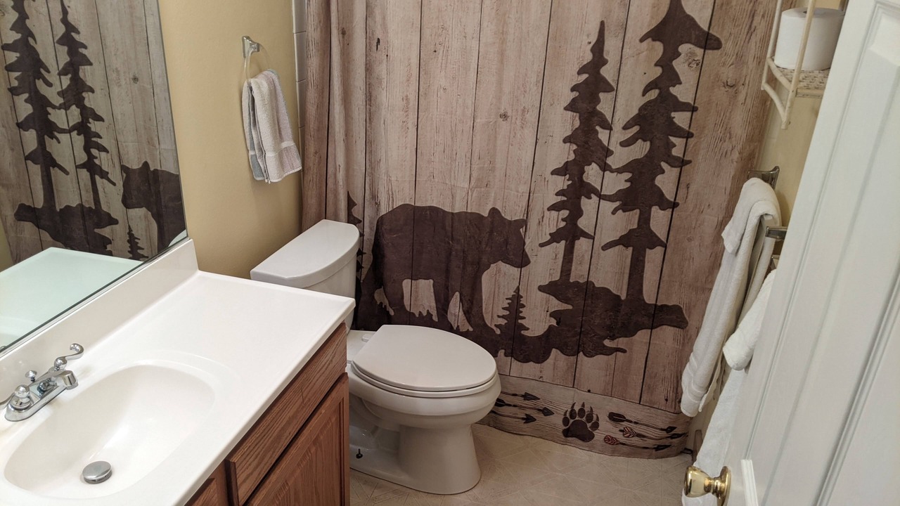 Photo of Bathroom in Truckee
