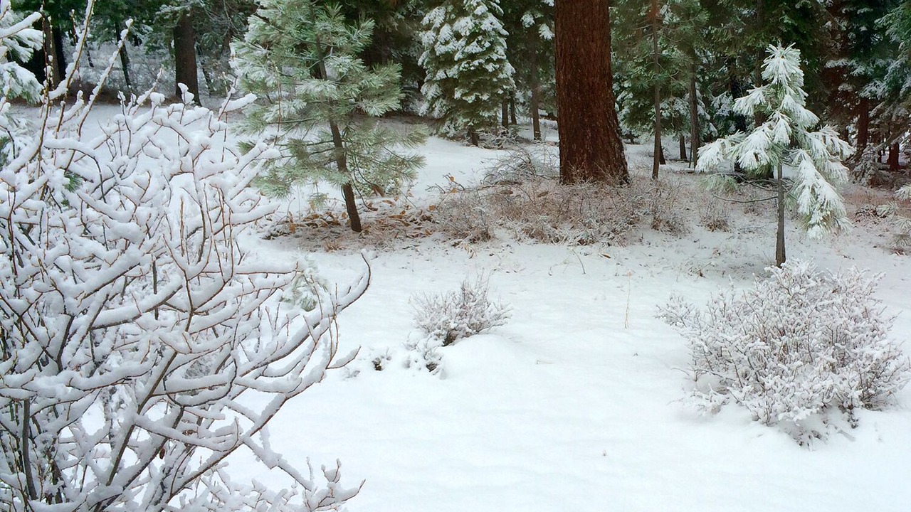 Photo of Others in Truckee