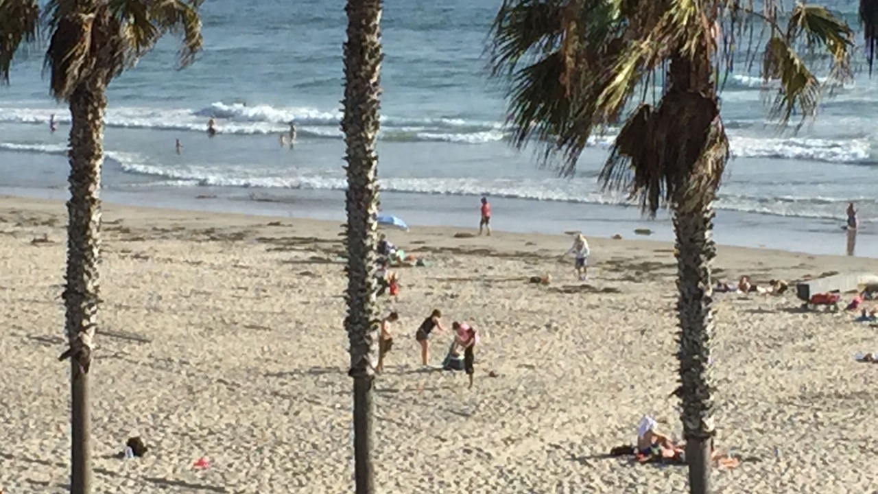 Photo of Others in Pacific Beach