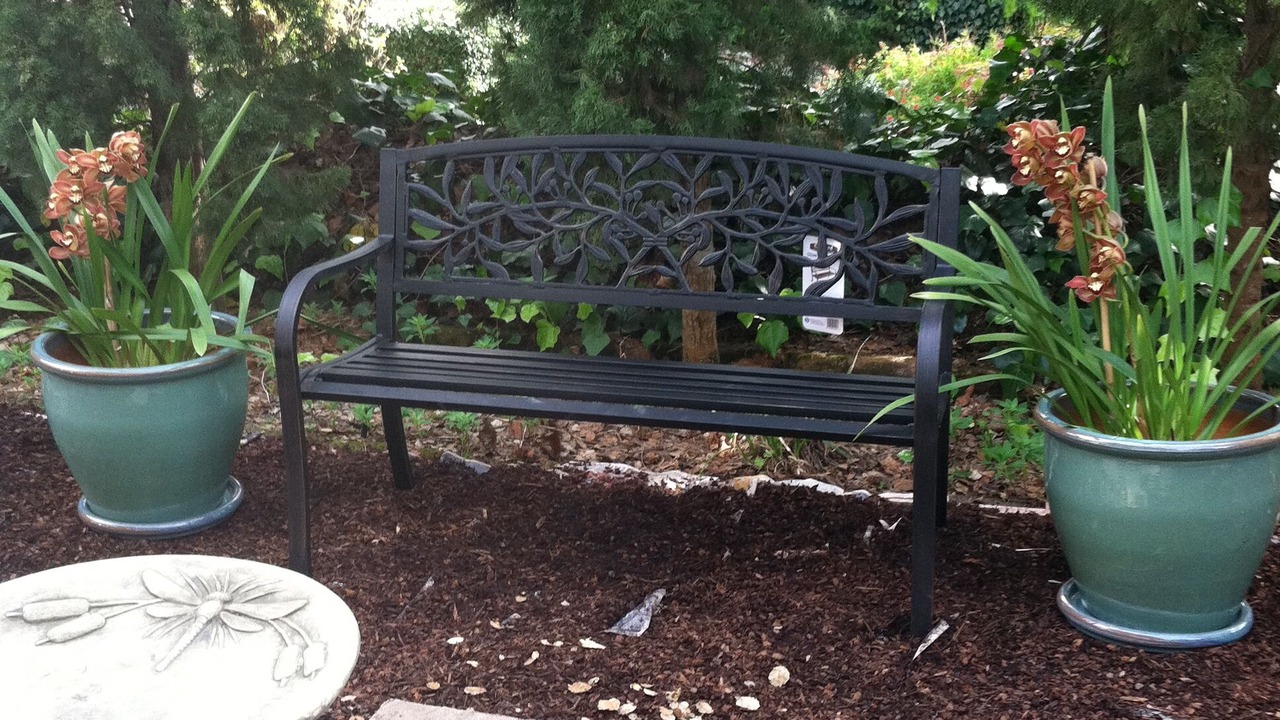 Photo of Others in Northeast Carmel