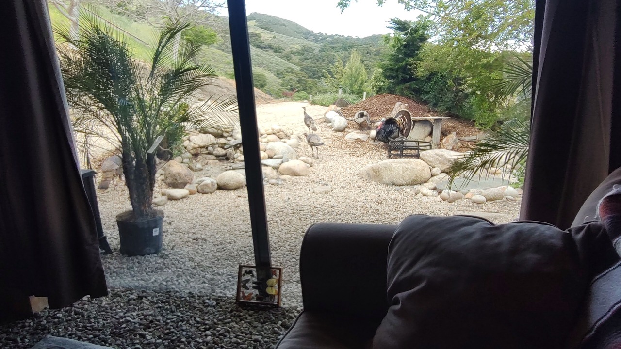 Photo of Others in Carmel Valley