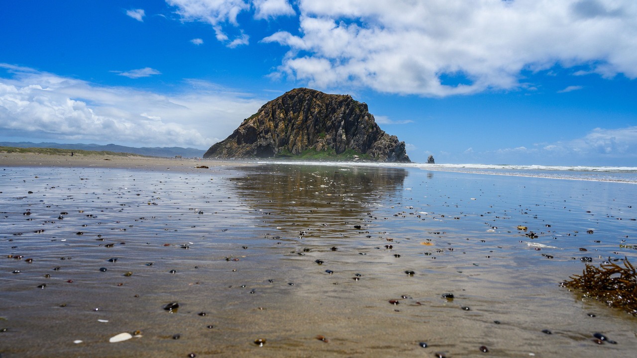 Photo of Others in Morro Bay