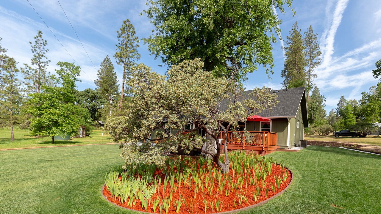 Photo of Outdoor in Mariposa