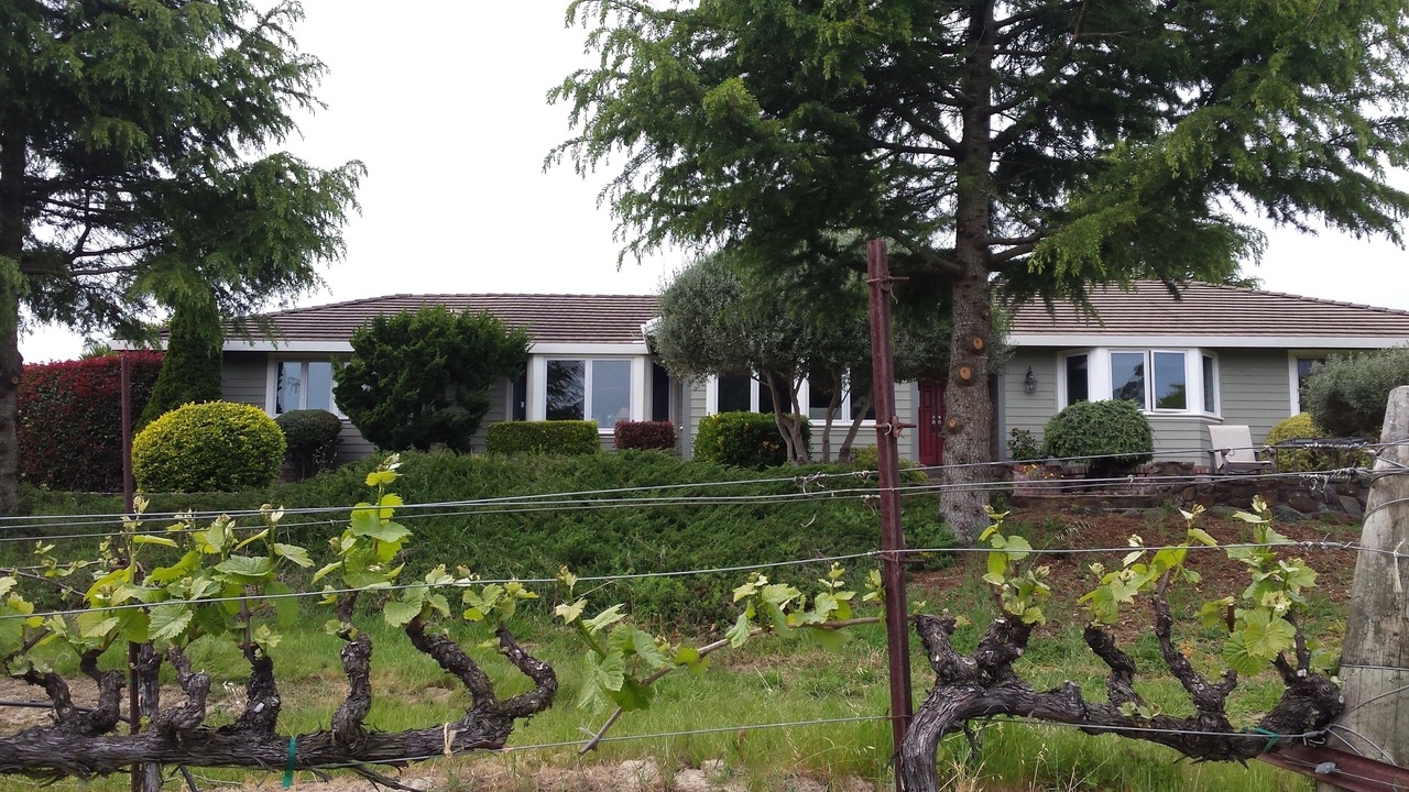 Photo of Outdoor in Sebastopol