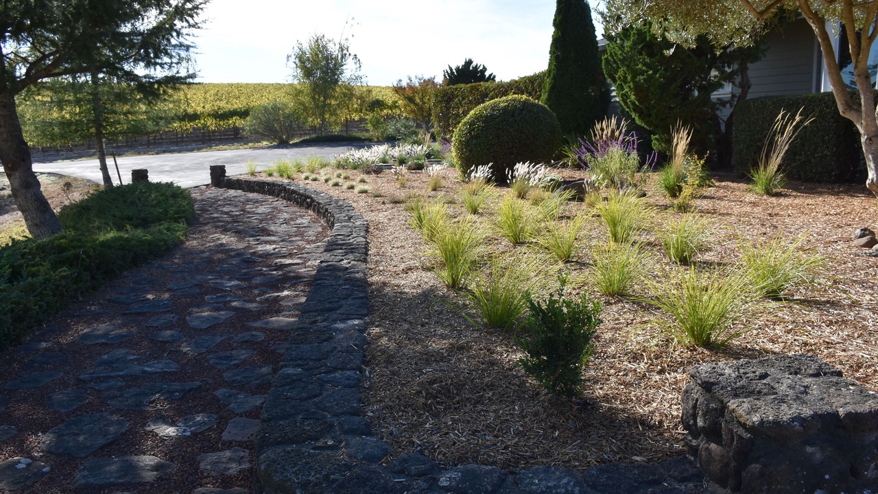 Photo of Outdoor in Sebastopol