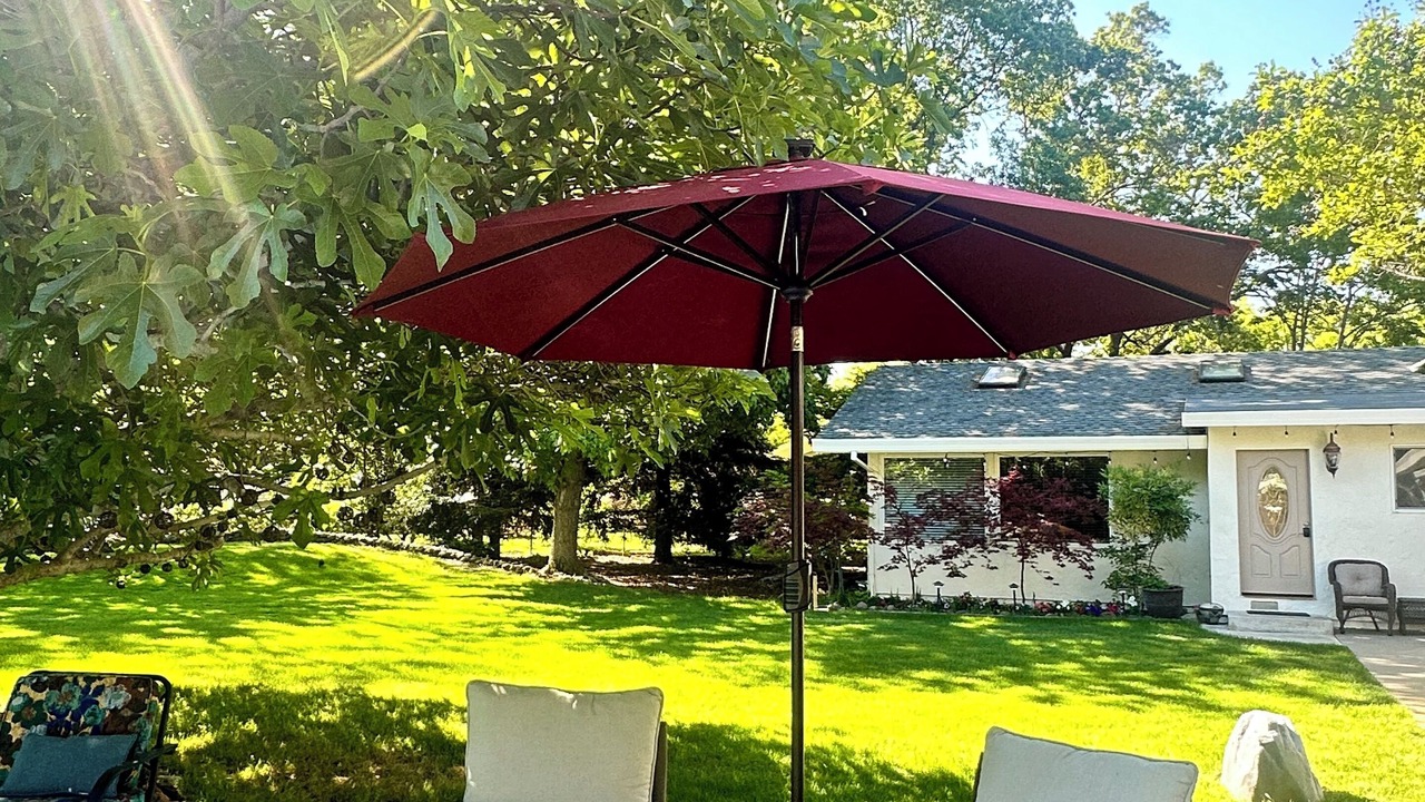 Photo of Patio Balcony in Chico