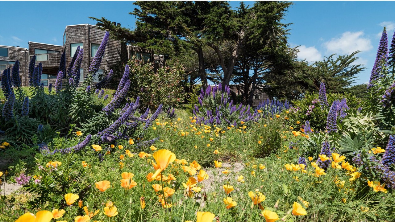Photo of Outdoor in Pajaro Dunes