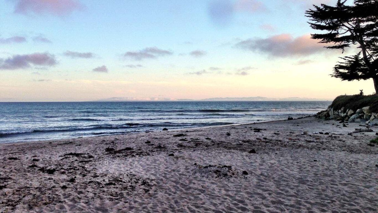 Photo of Others in Carpinteria