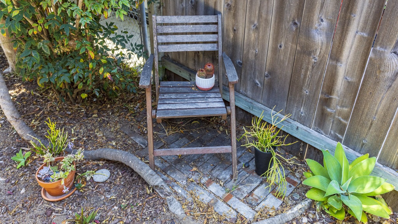 Photo of Outdoor in Ocean Beach