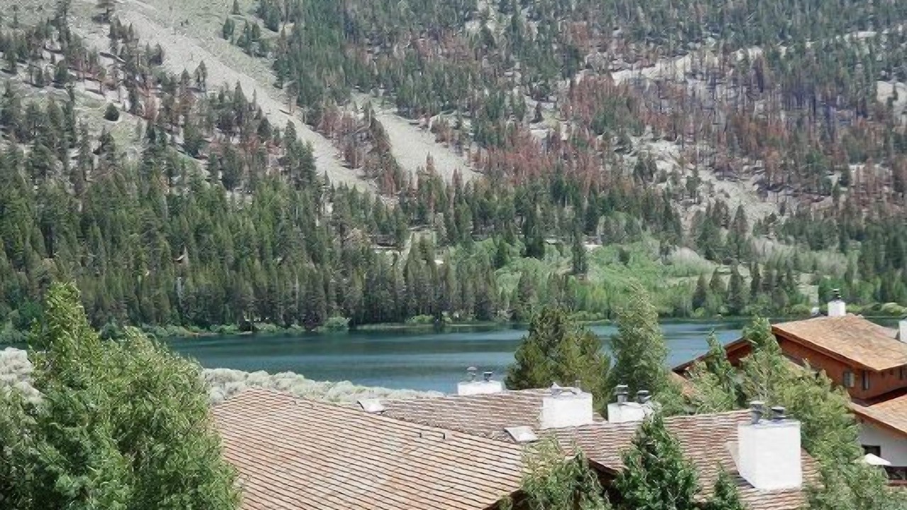 Photo of Outdoor in June Lake