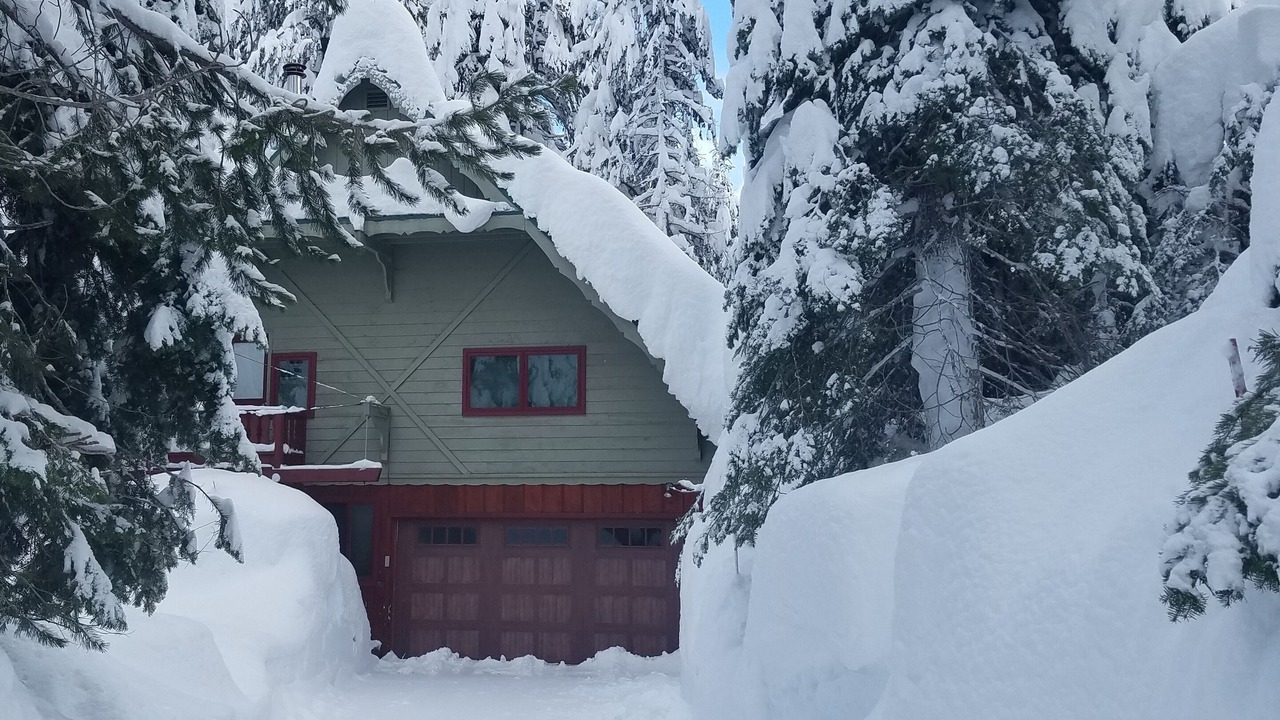 Photo of Outdoor in Donner Lake Woods