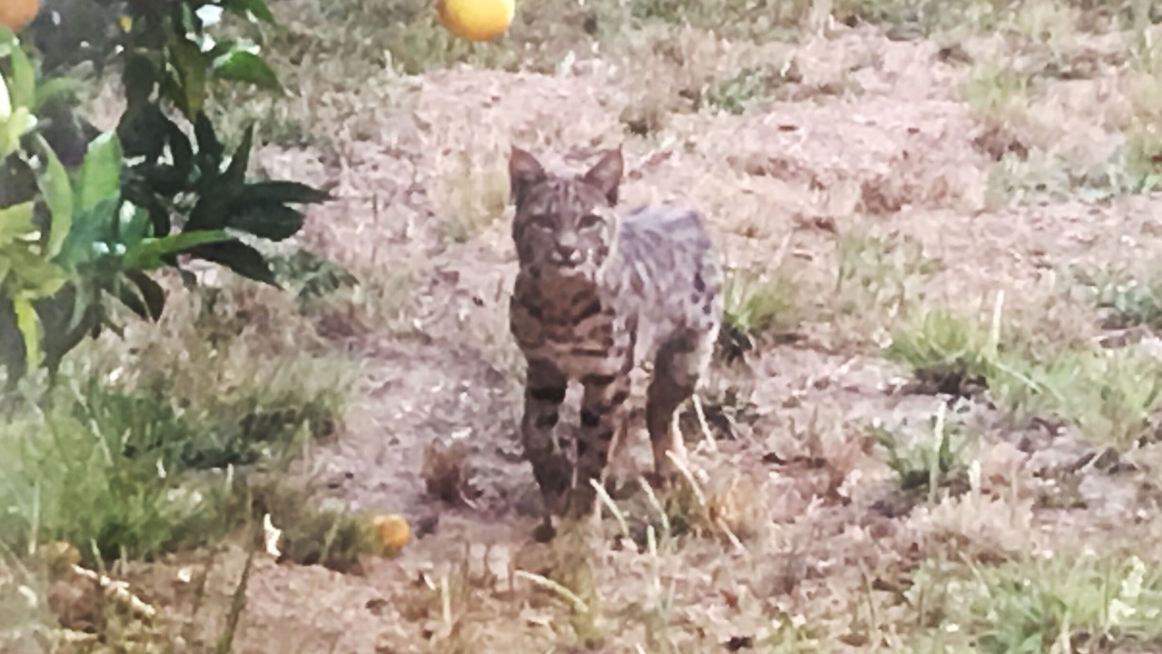 Photo of Outdoor in Freestone