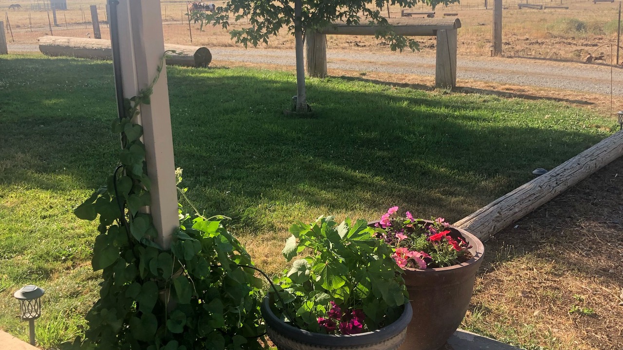 Photo of Outdoor in Red Bluff