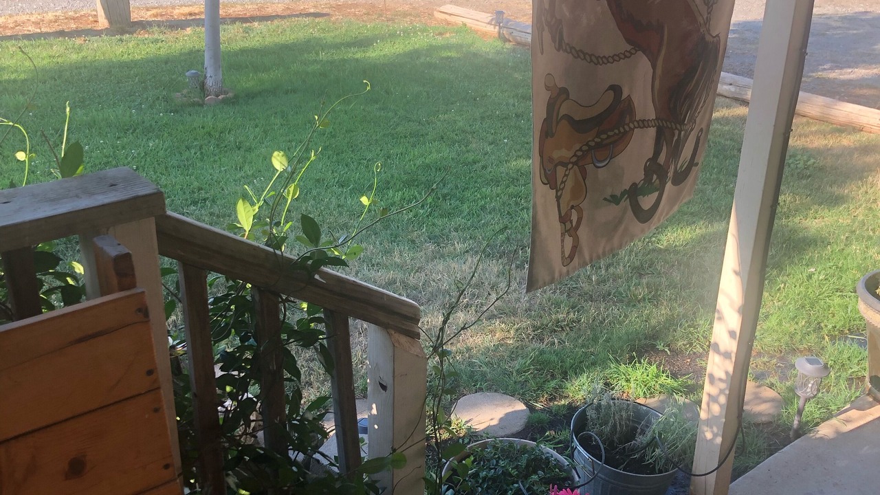 Photo of Outdoor in Red Bluff