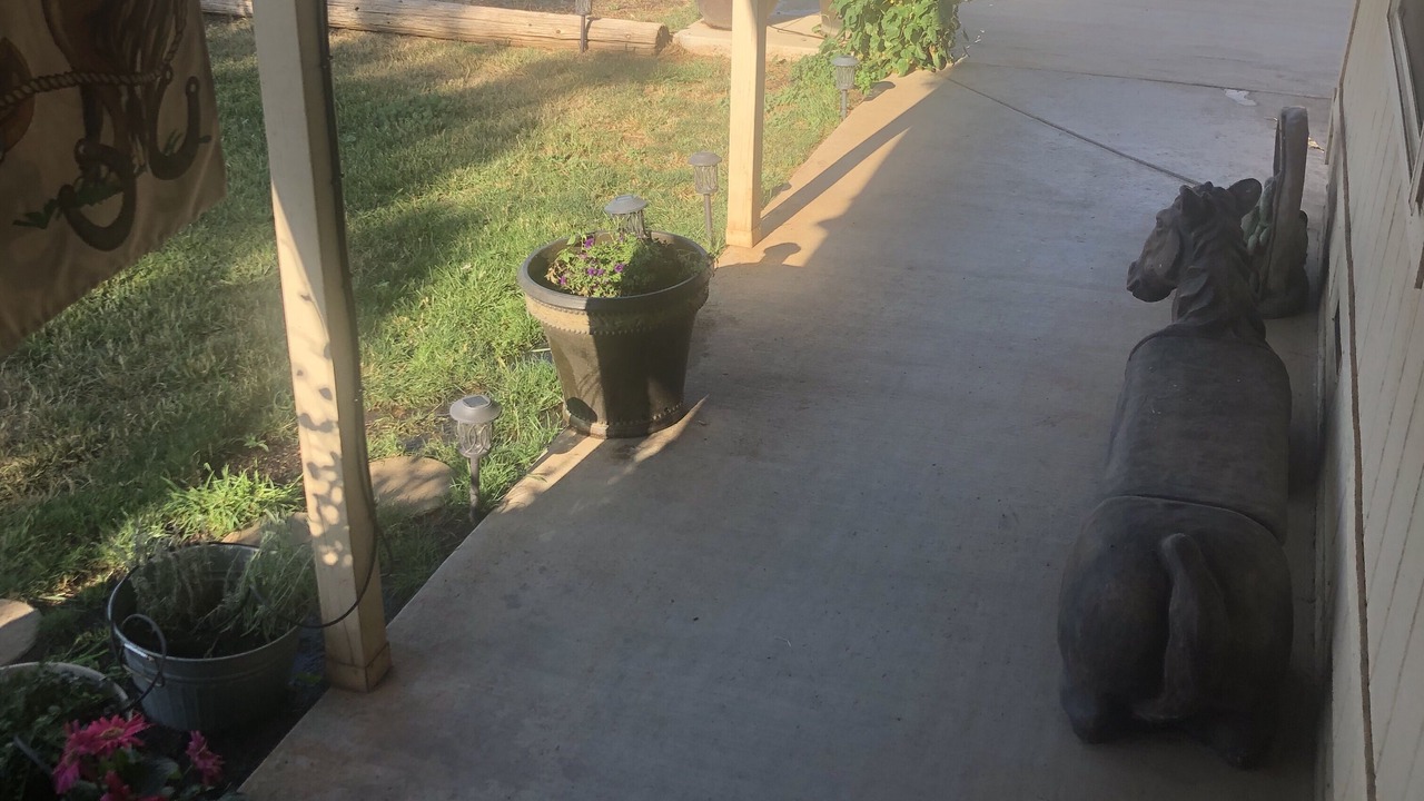 Photo of Outdoor in Red Bluff