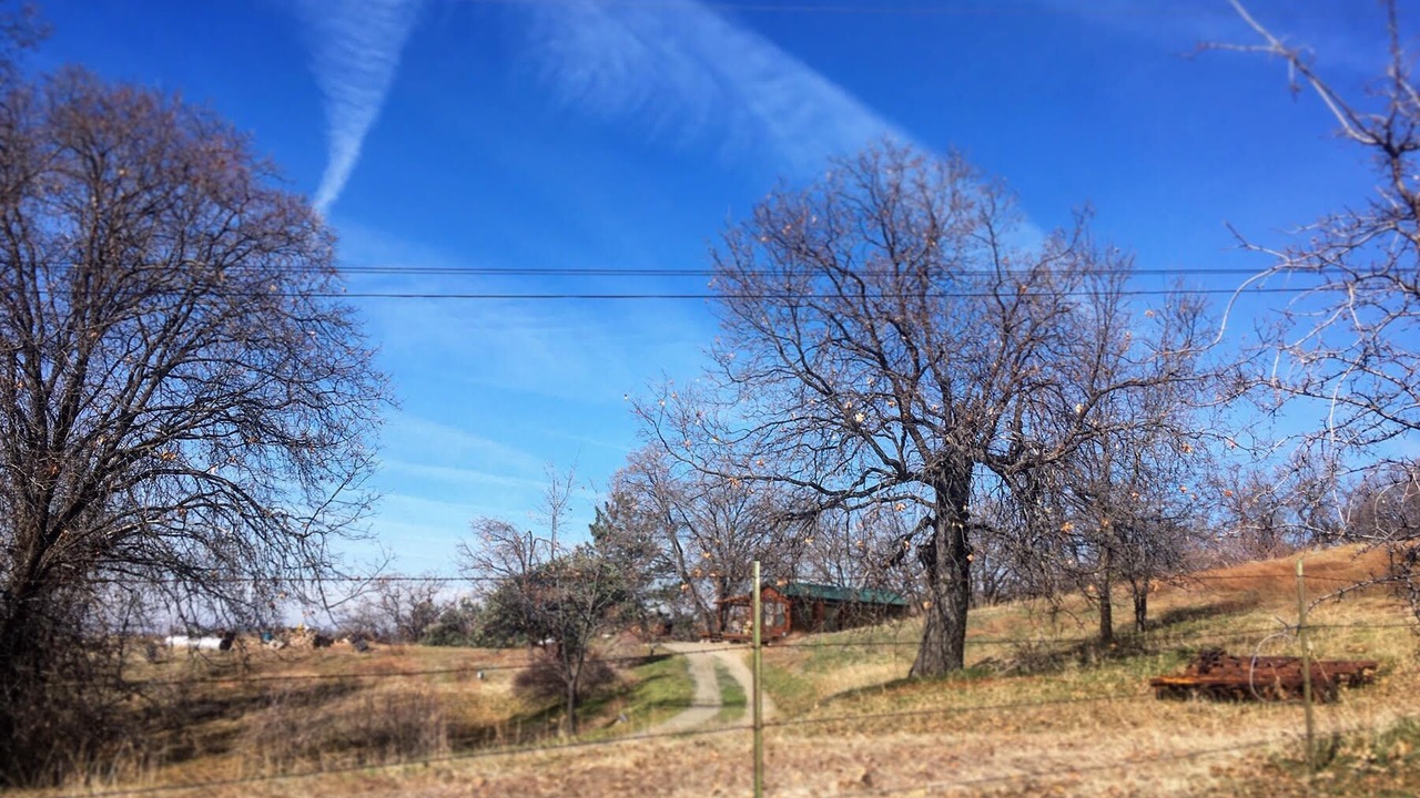 Photo of Outdoor in Badger