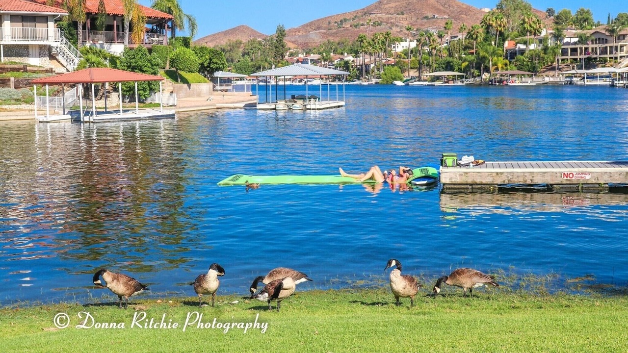 Photo of Outdoor in Canyon Lake