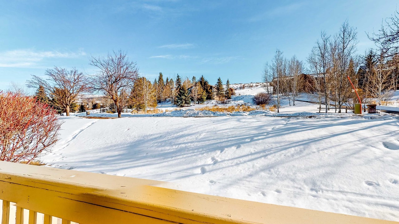 Photo of Outdoor in Park Meadows