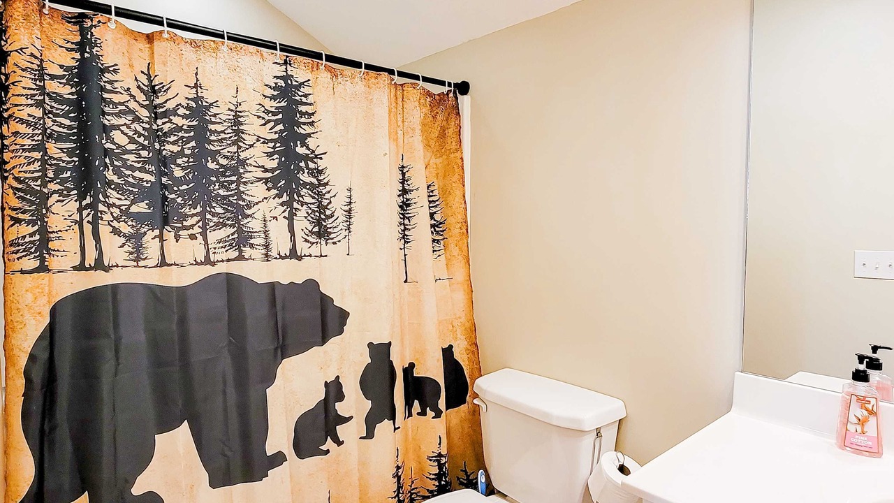 Photo of Bathroom in Sevierville