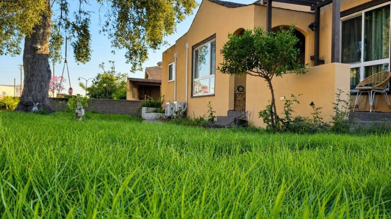 Photo of Outdoor in East San Gabriel