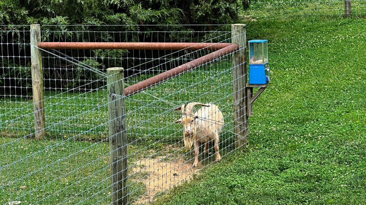 Photo of Outdoor in Quarryville