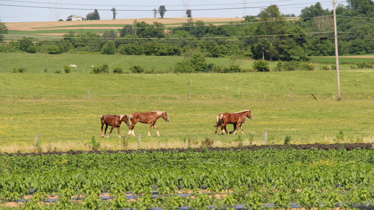 Photo of Others in Quarryville