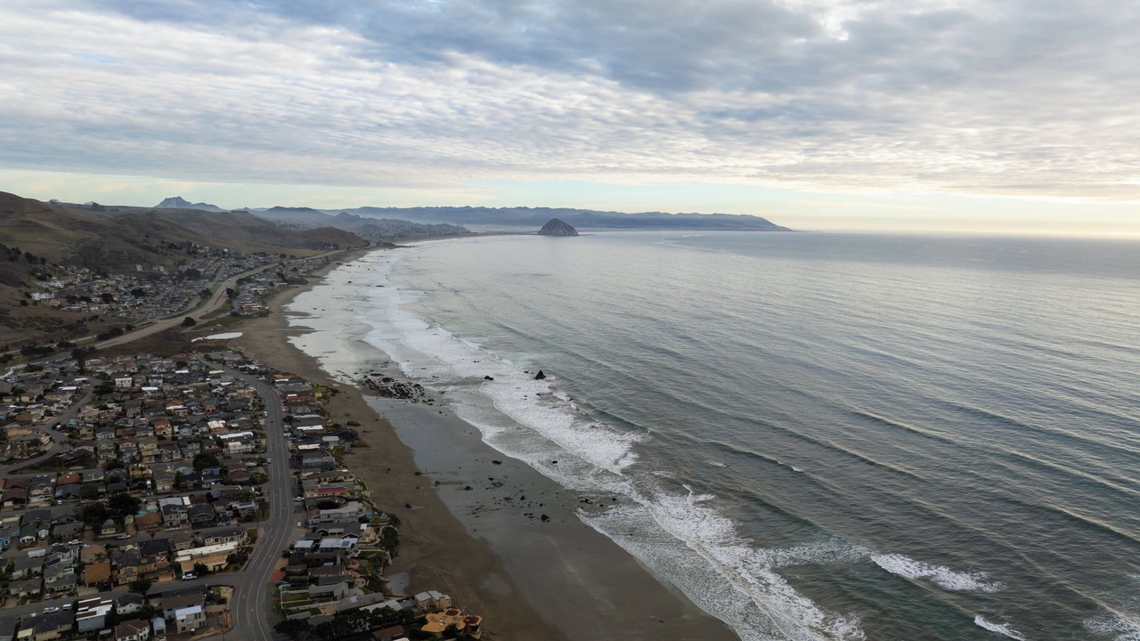 Photo of Others in Cayucos