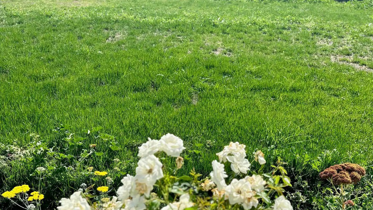 Photo of Outdoor in Glen Ellen