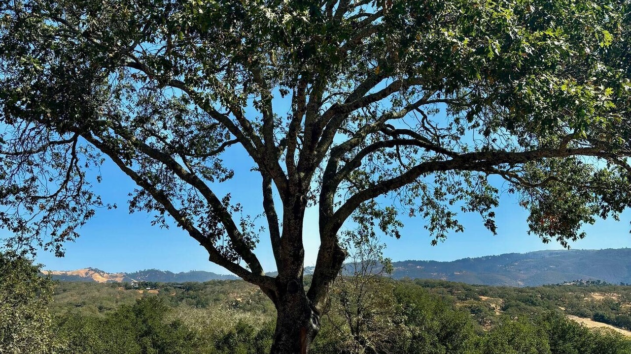Photo of Others in Glen Ellen