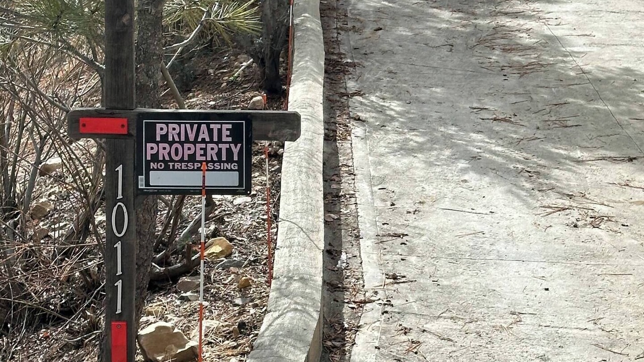 Photo of Outdoor in Whispering Forest