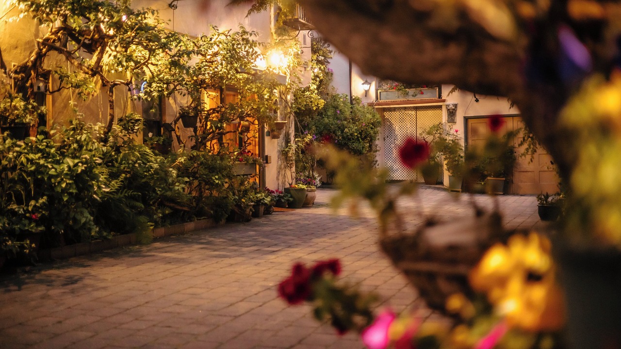 Photo of Outdoor in Marina District