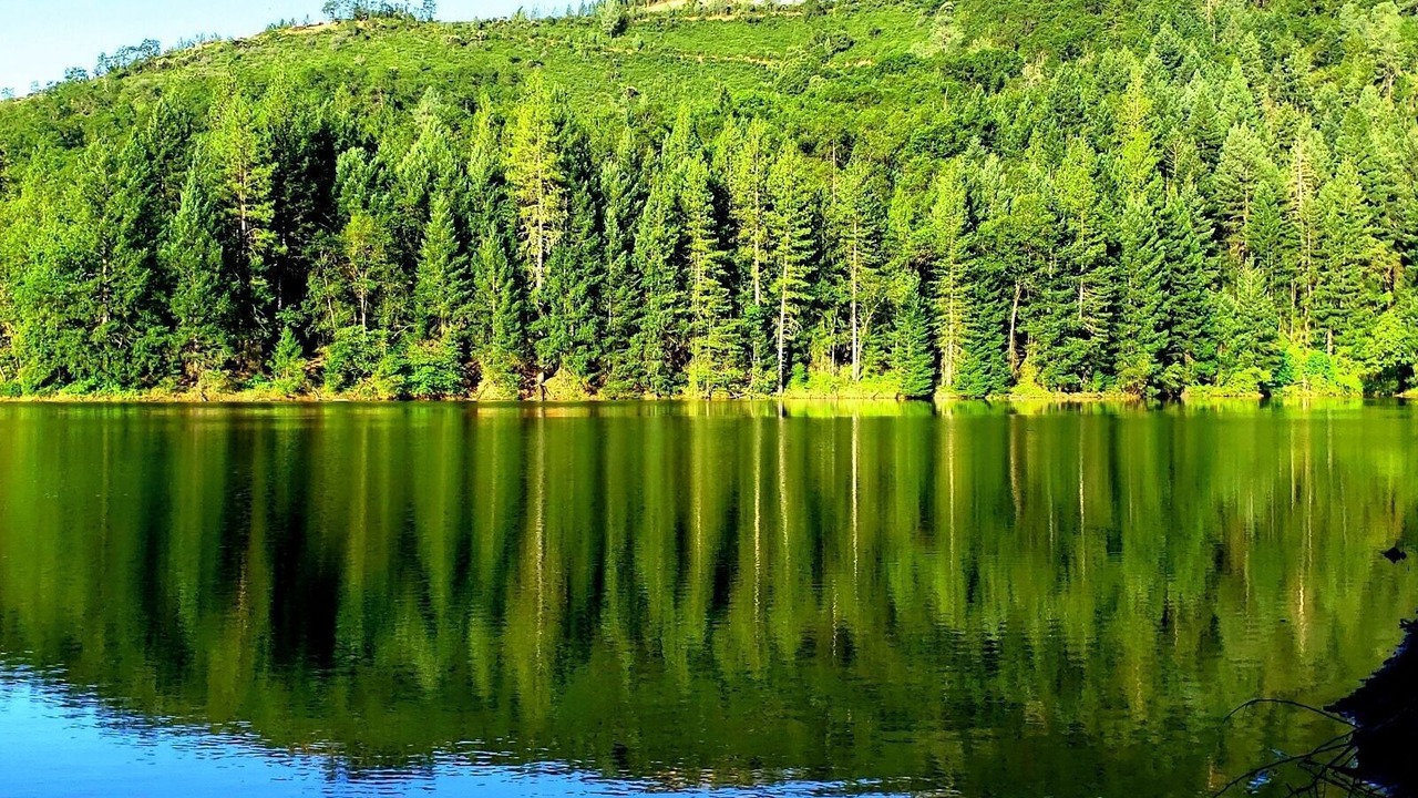 Photo of Others in Lakehead-Lakeshore