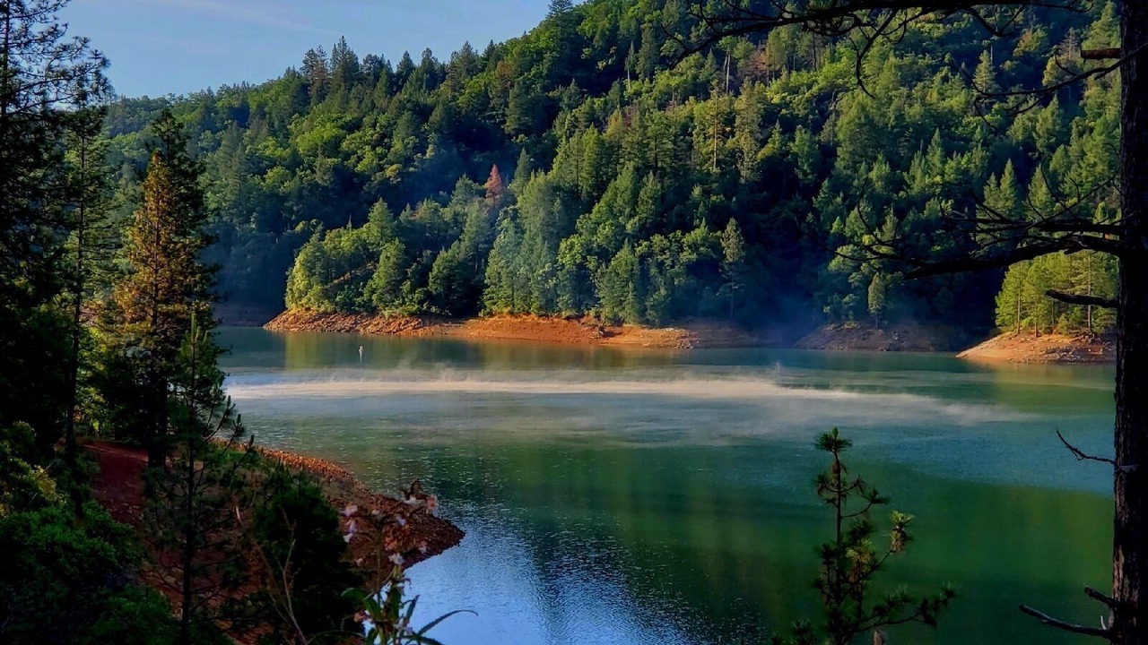 Photo of Others in Lakehead-Lakeshore