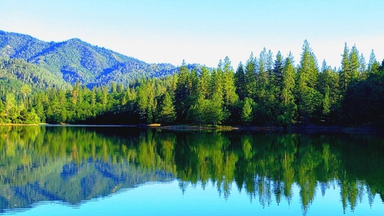 Photo of Others in Lakehead-Lakeshore