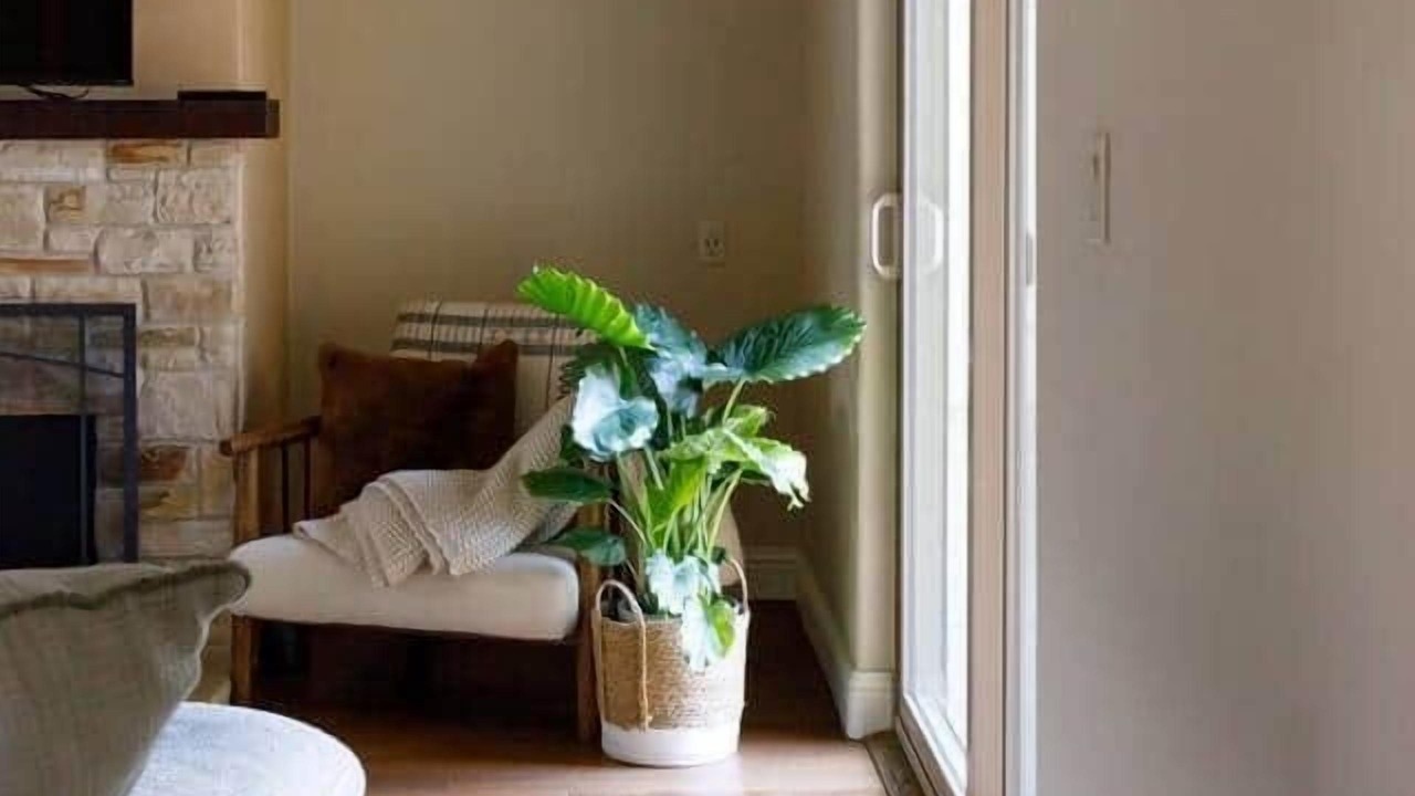 Photo of Livingroom in Del Rey Oaks