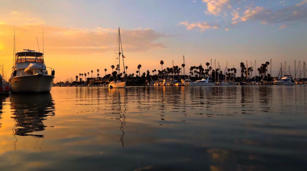 Photo of Others in Hollywood Beach