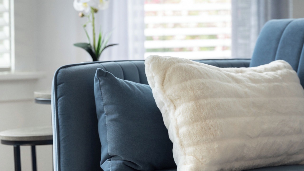 Photo of Livingroom in San Bruno