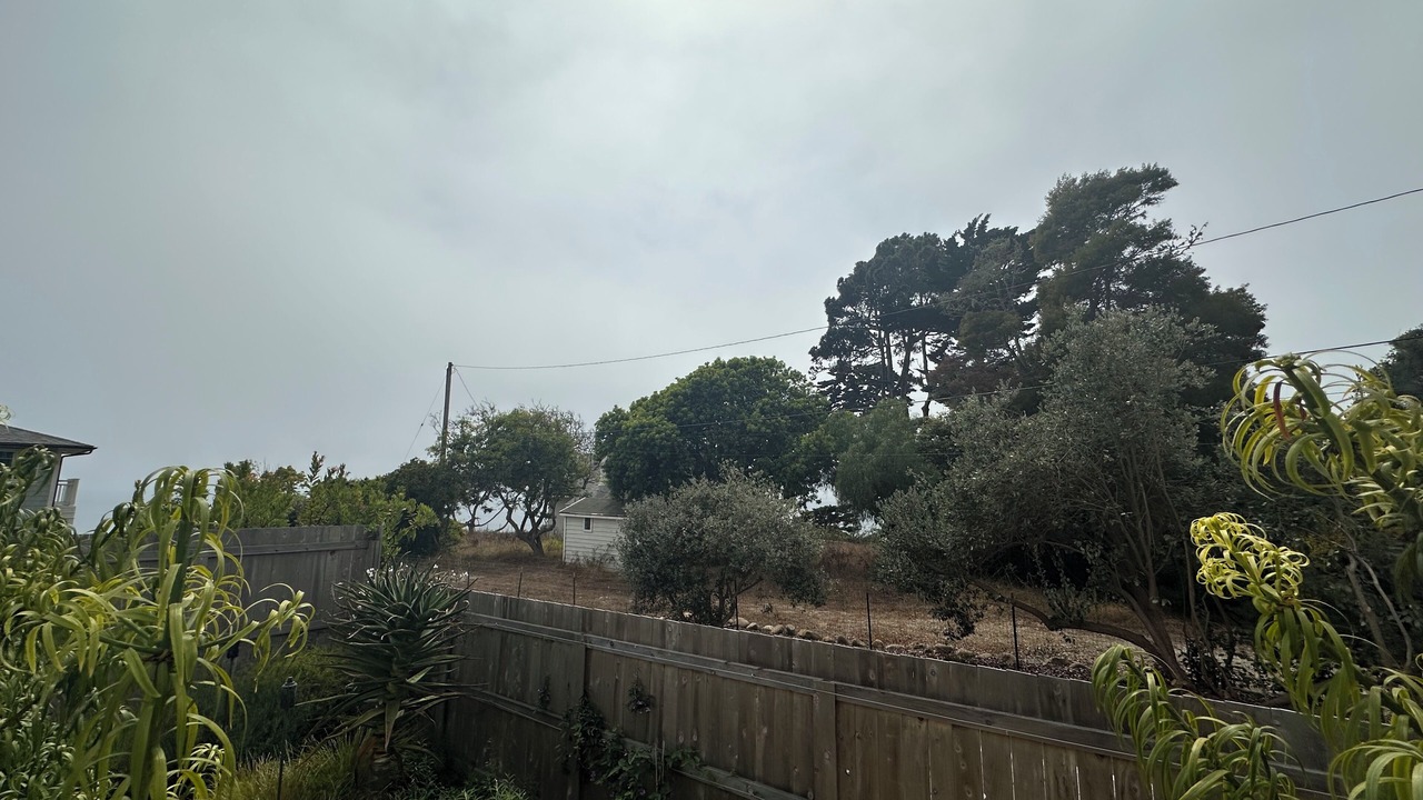 Photo of Outdoor in West Mesa