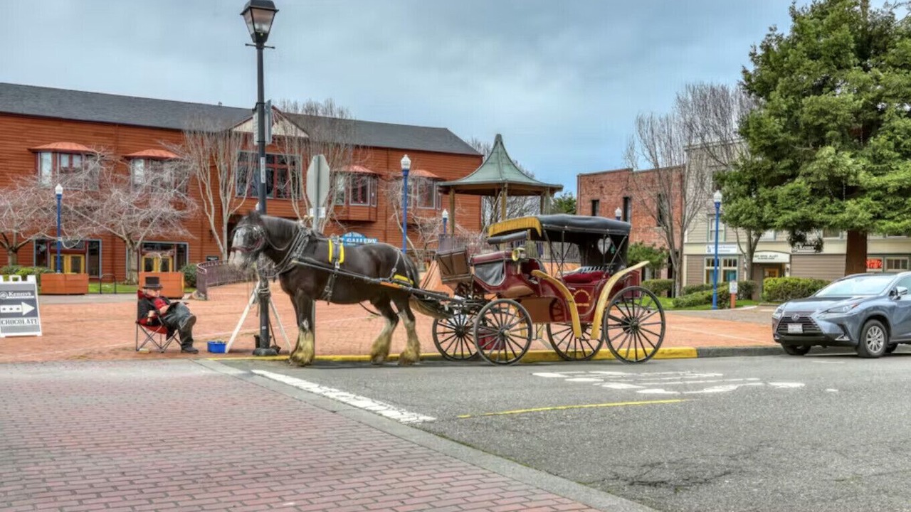 Photo of Others in Old Town Eureka