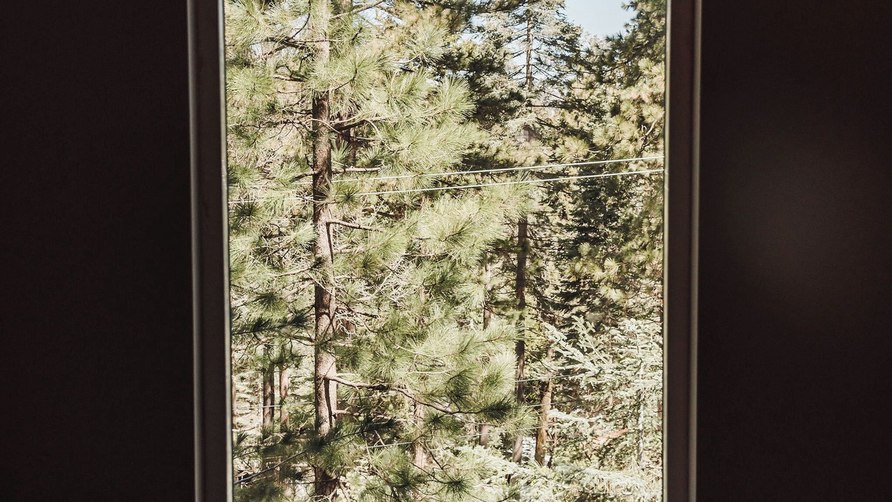 Photo of Others in Rimforest