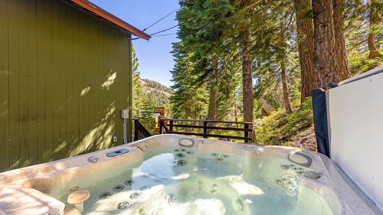 Photo of Others in Alpine Meadows