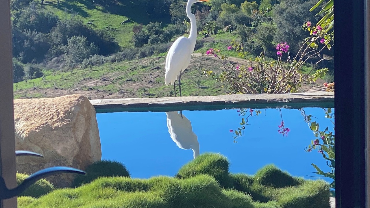 Photo of Outdoor in Fallbrook