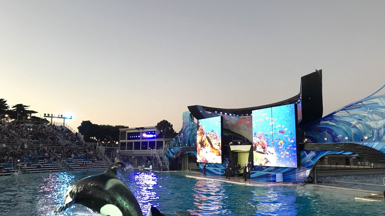 Photo of Outdoor in Morena