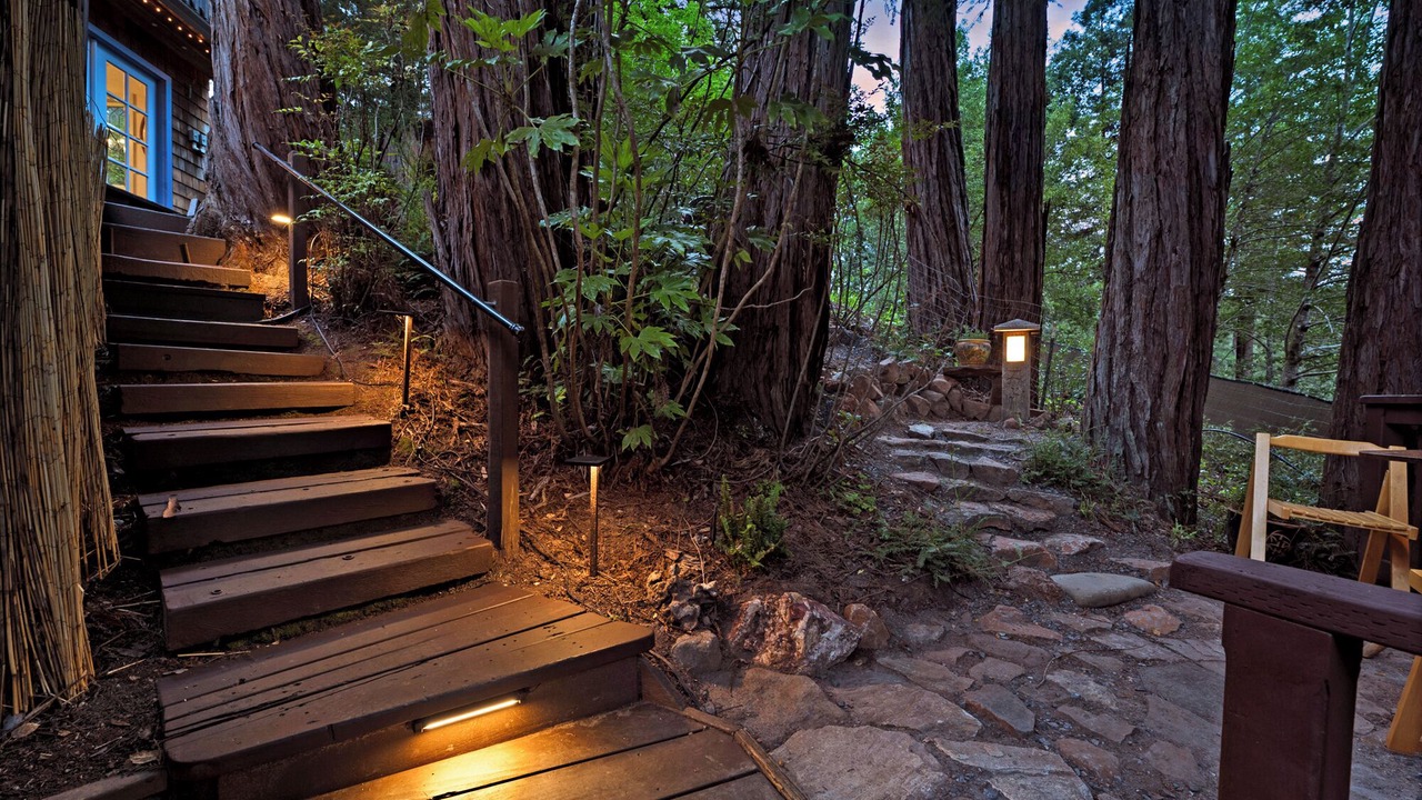 Photo of Outdoor in Rio Nido